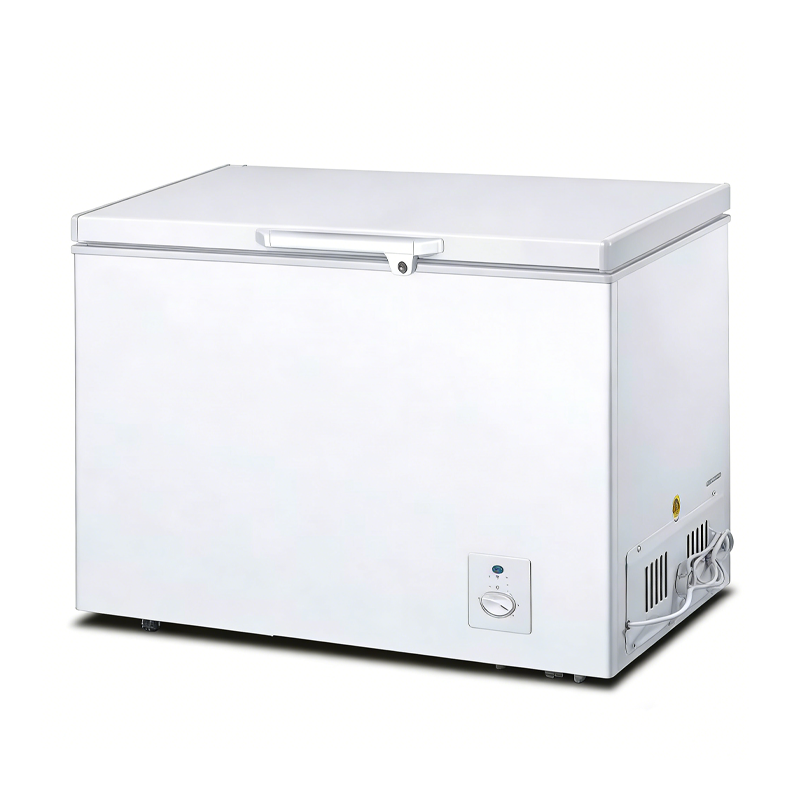 家用小型冰柜 200L 冻肉海鲜保鲜 静音运行