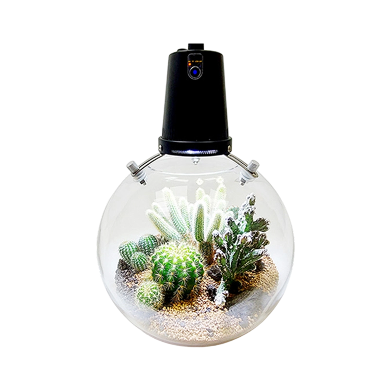 LED照明生态瓶套装