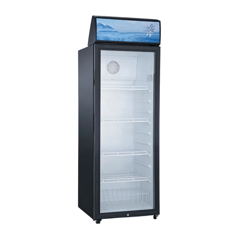 HAILANG 商用大容量冷藏展示柜 带灯箱饮料保鲜冰箱
