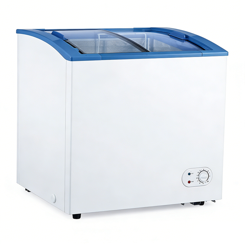 弧形玻璃门展示柜 205L 食品级内胆 商用低耗冷柜