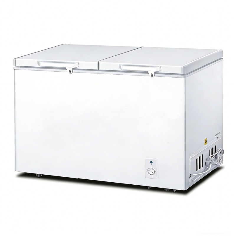 700L 双门冷柜 超市餐饮 冷藏冷冻两用冰箱